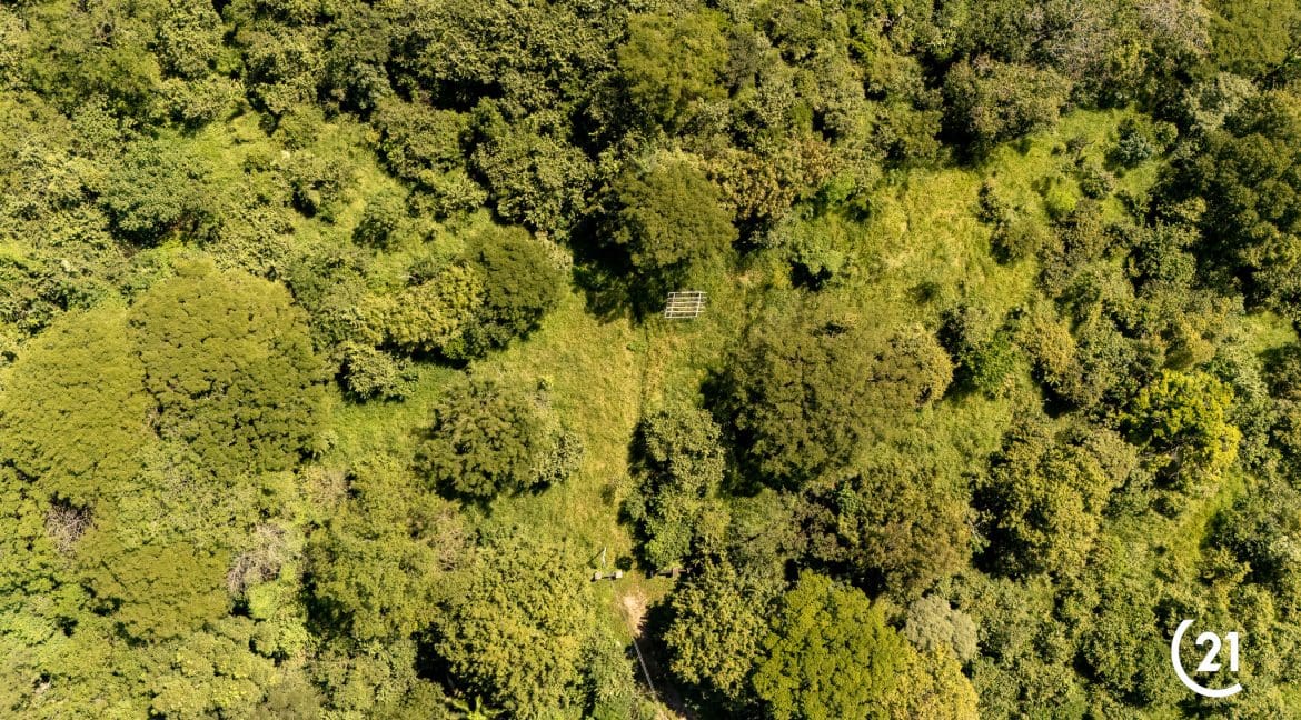 C21 Nosara Finca Encantada-02