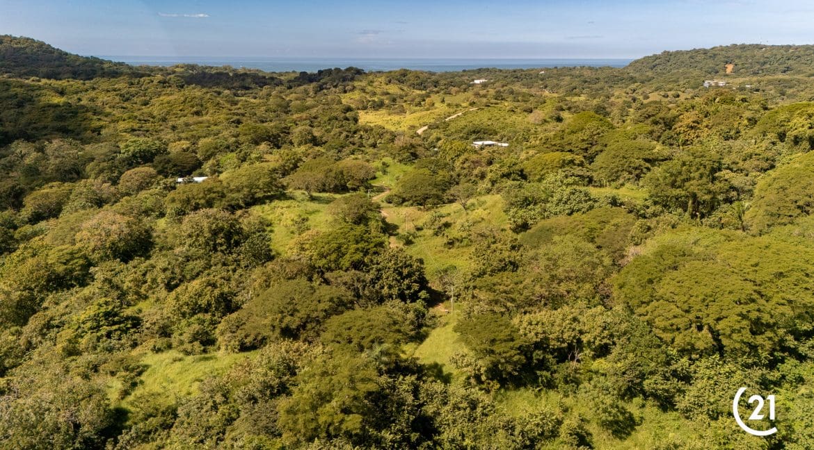 C21 Nosara Finca Encantada-03