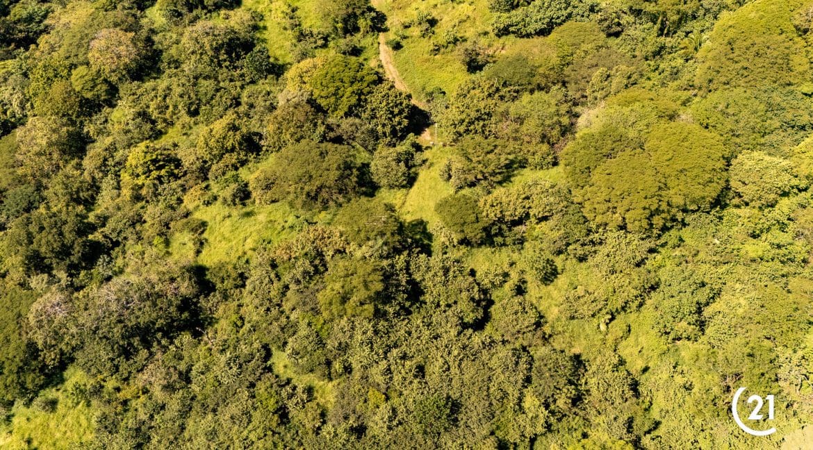 C21 Nosara Finca Encantada-04