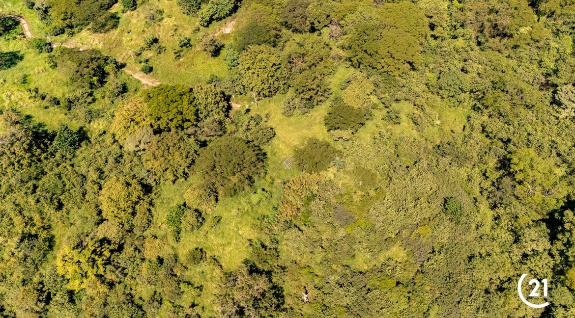 C21 Nosara Finca Encantada-05