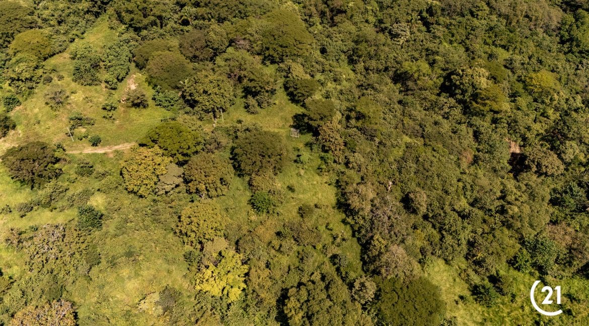 C21 Nosara Finca Encantada-06