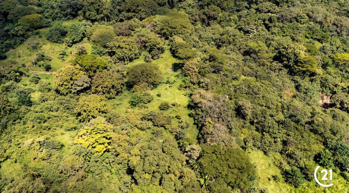 C21 Nosara Finca Encantada-09