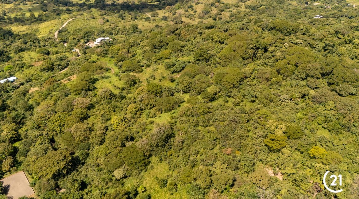C21 Nosara Finca Encantada-11