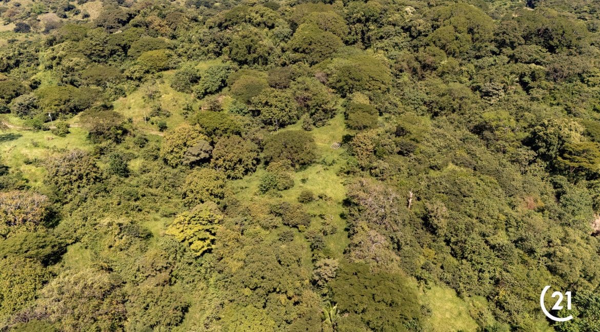 C21 Nosara Finca Encantada-12