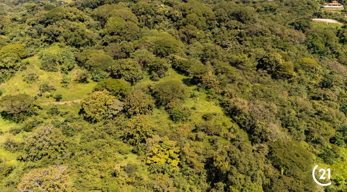 C21 Nosara Finca Encantada-13