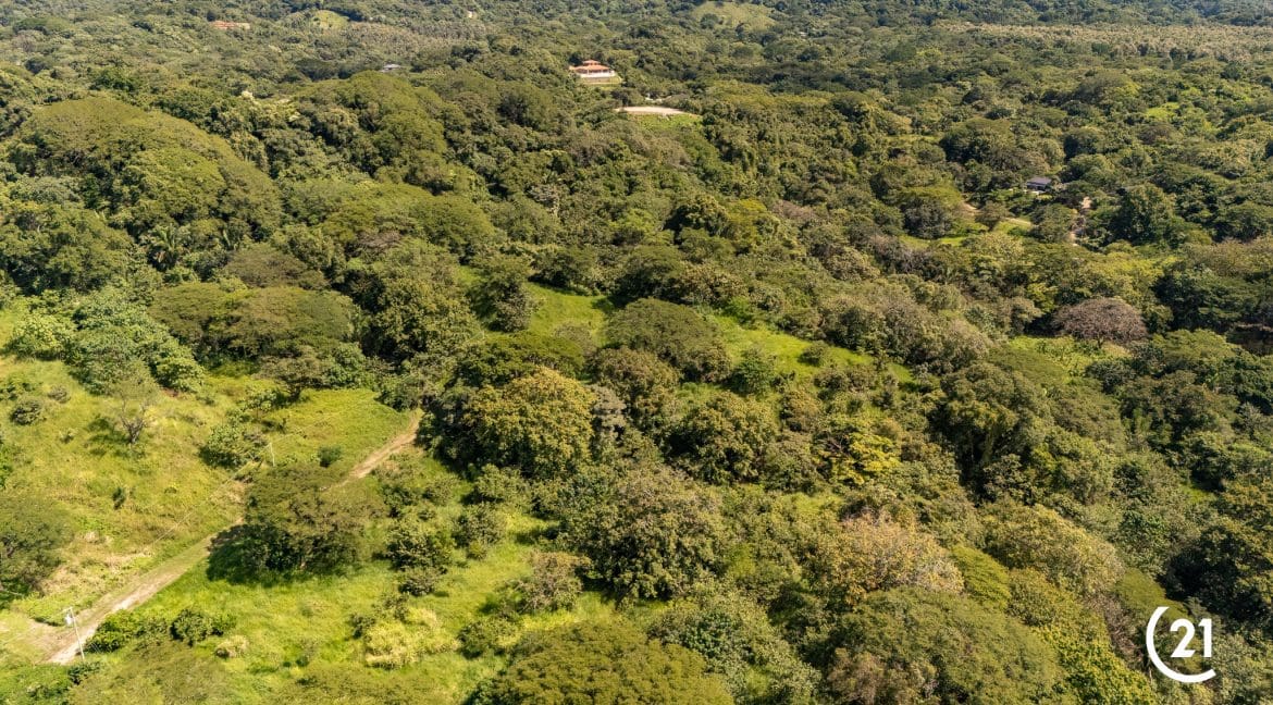 C21 Nosara Finca Encantada-14