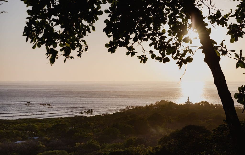 MonkeyHouse_©kirstenellis_106