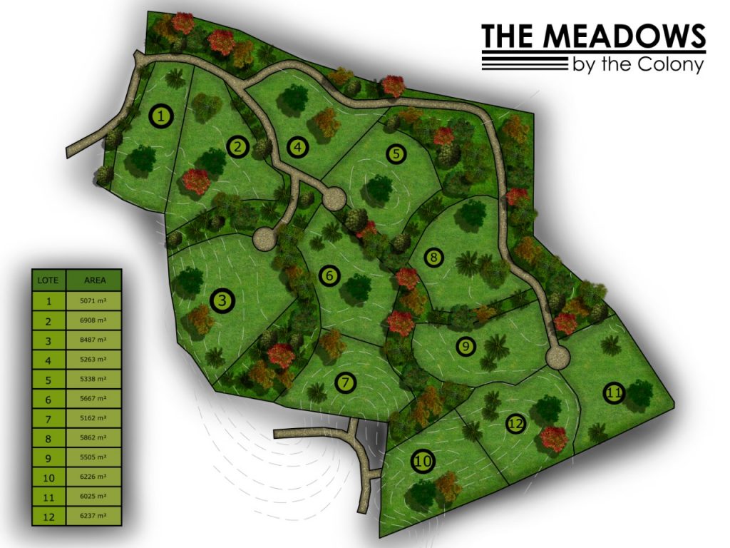 Master Plan Nosara Real Estate Homes for Sale Nosara Century 21