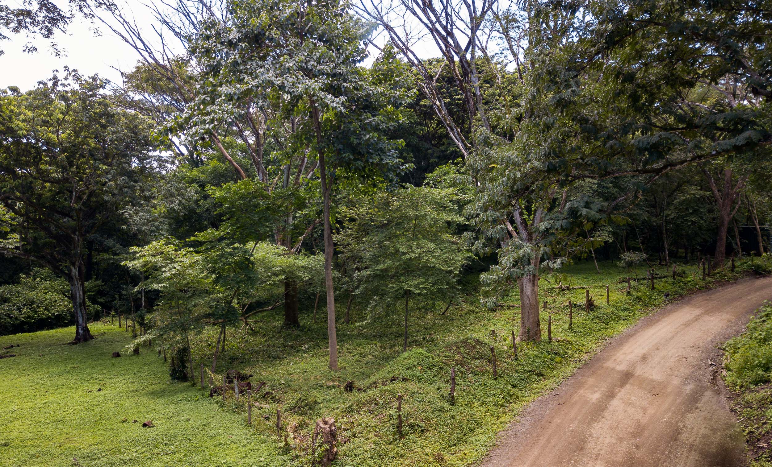 Beautiful and Spacious Land at Delicias