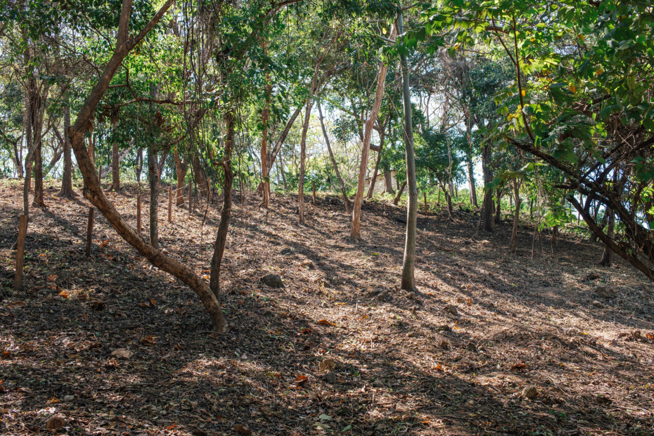 Lots Nosara Real Estate Homes for Sale Nosara Century 21