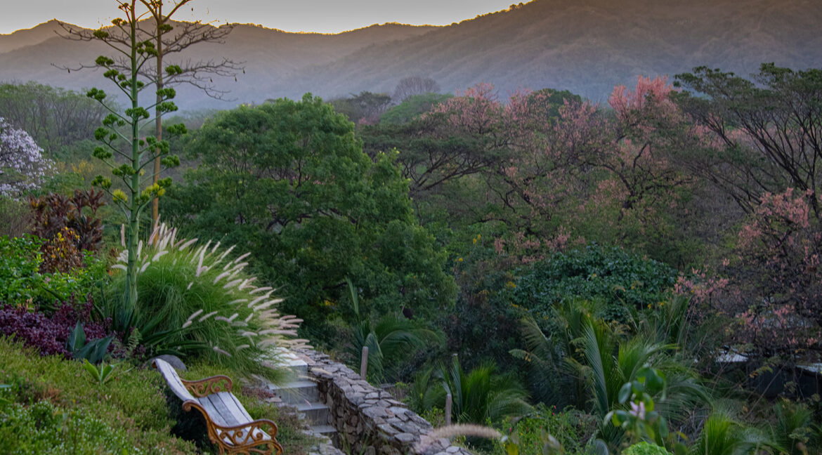 gardens-costa-rica-community-land-for-sale