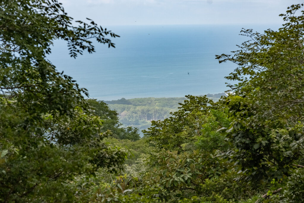 Lots Nosara Real Estate Homes for Sale Nosara Century 21