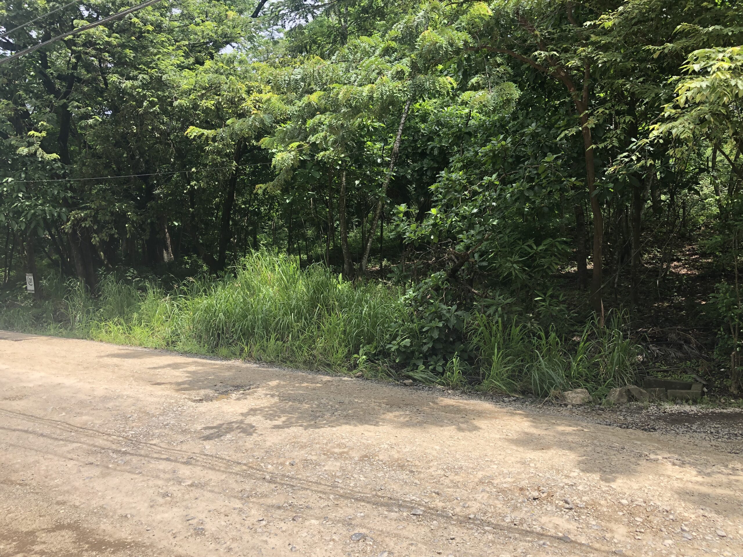 Excellent Commercial Lot on Main Road Into Pelada