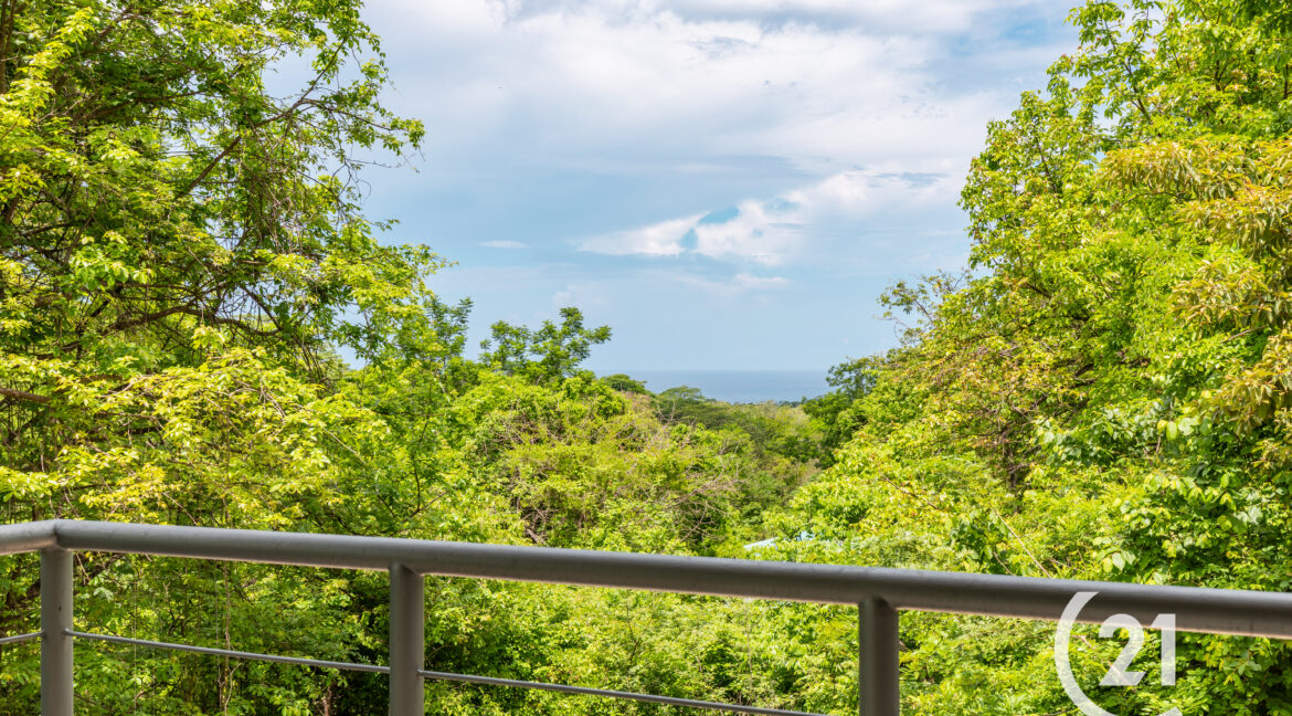 Casa-Salida-Century 21-Nosara-Allan Monestel-Real Estate-Agent-Nosara-Playa Guiones-Playa Pelada-Guanacaste-Costa Rica-Bienes Raices- Real Estate-22