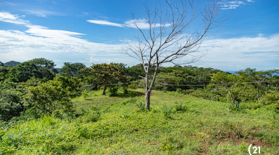 C21 Maikol Lote 1-11