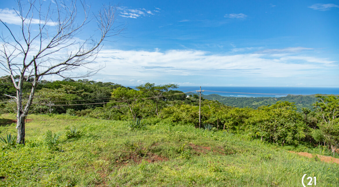 C21 Maikol Lote 1-12
