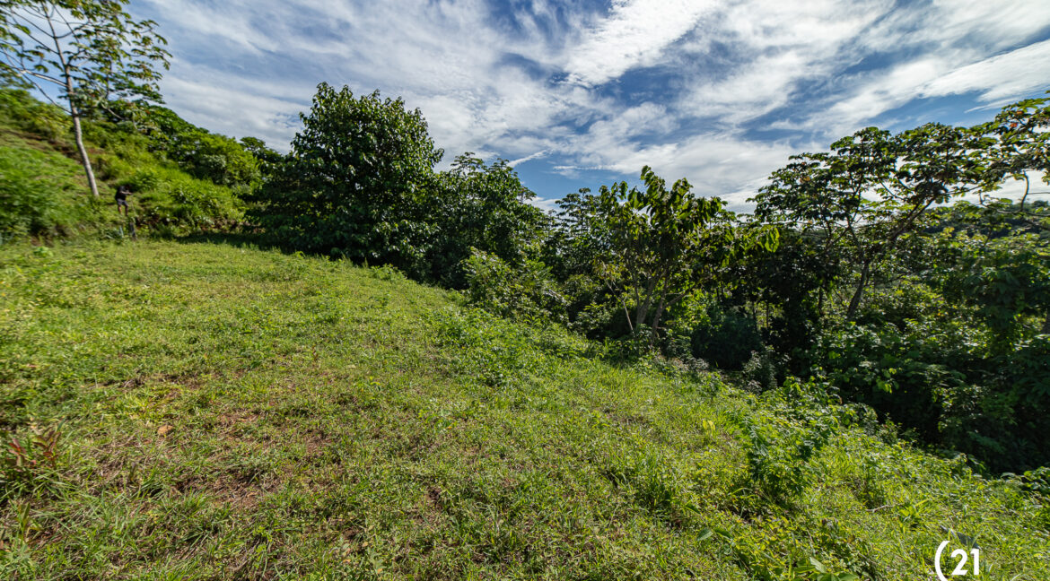 C21 Maikol Lote 1-22