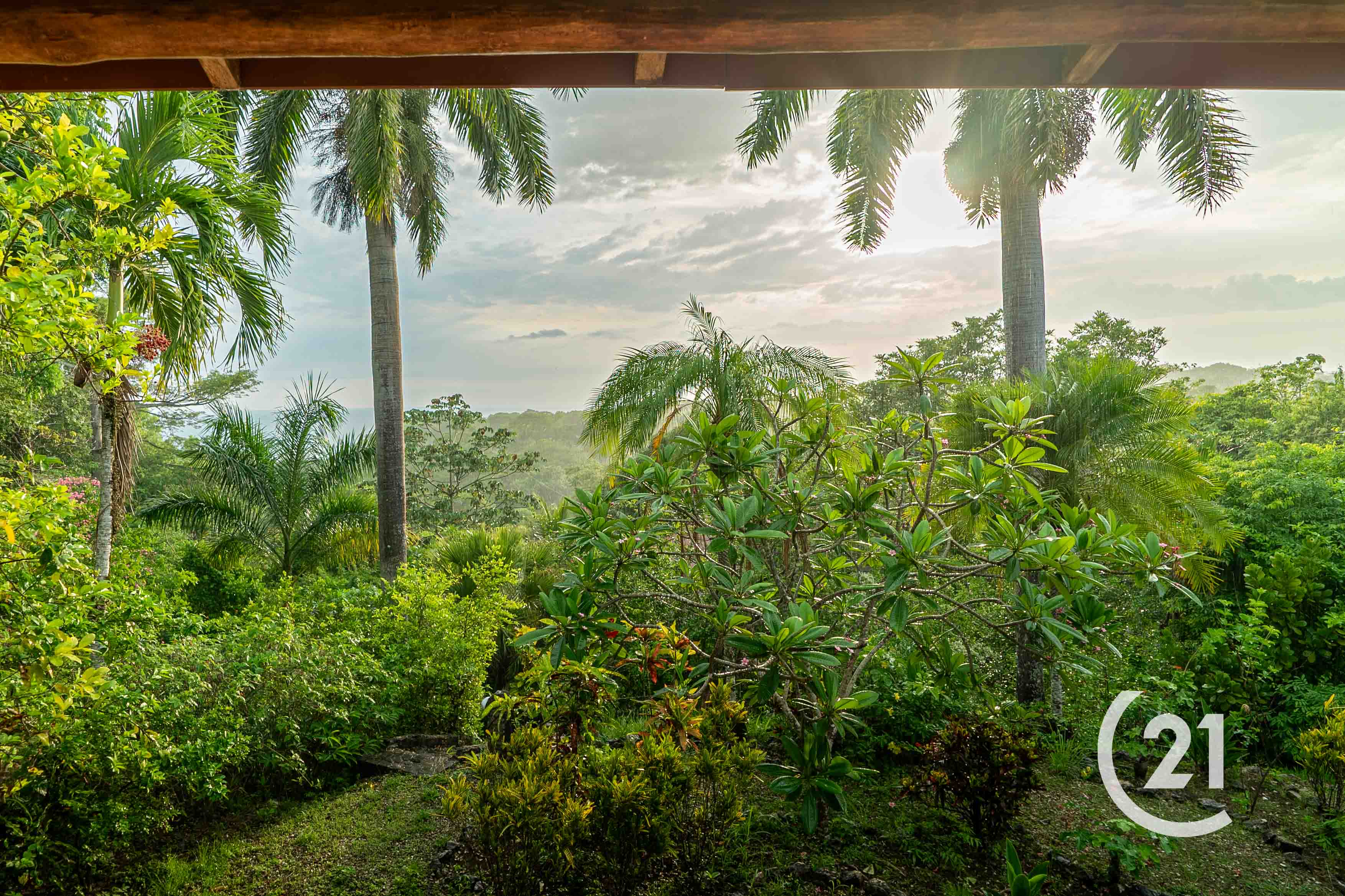 Casas Tucan-Ostional -Century 21-Nosara-Allan Monestel-Real Estate-Agent-Nosara-Playa Guiones-Playa Pelada-Guanacaste-Costa Rica-Bienes Raices- Real Estate- For Sale-7