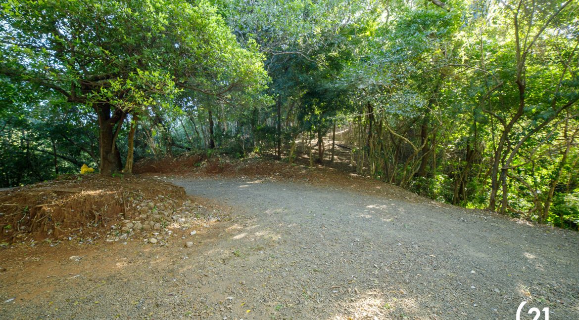 C21 Nosara Bosque Verde-01
