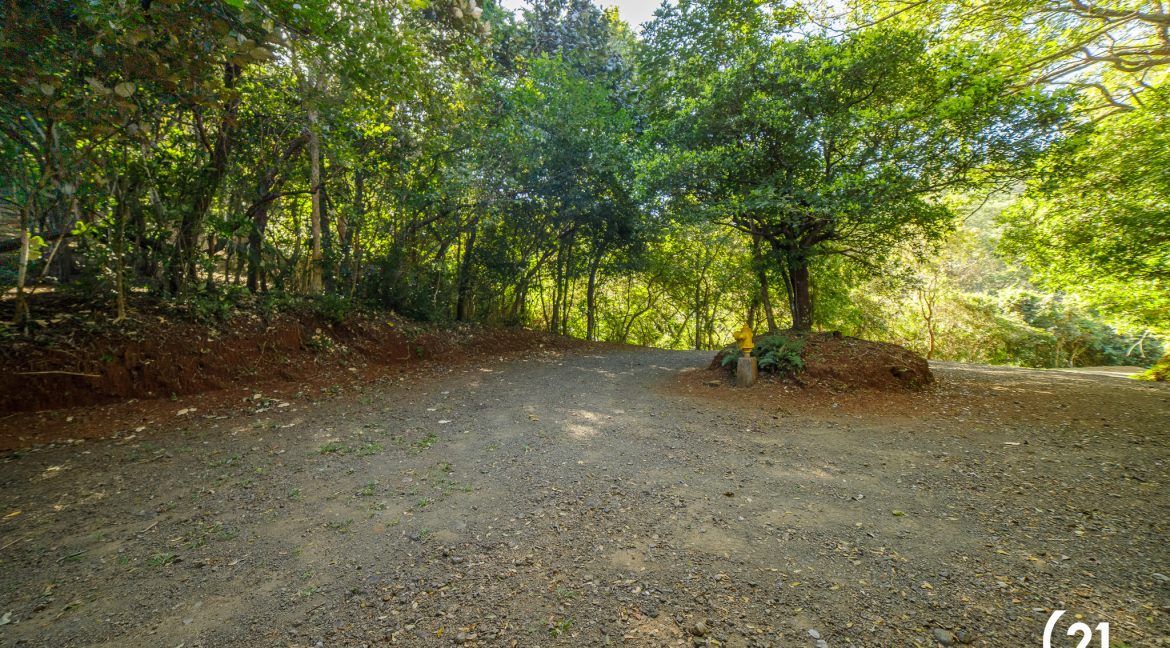C21 Nosara Bosque Verde-17