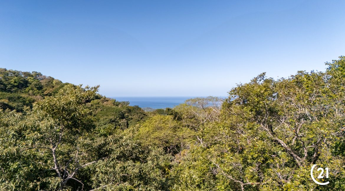 C21 Nosara Bosque Verde-21