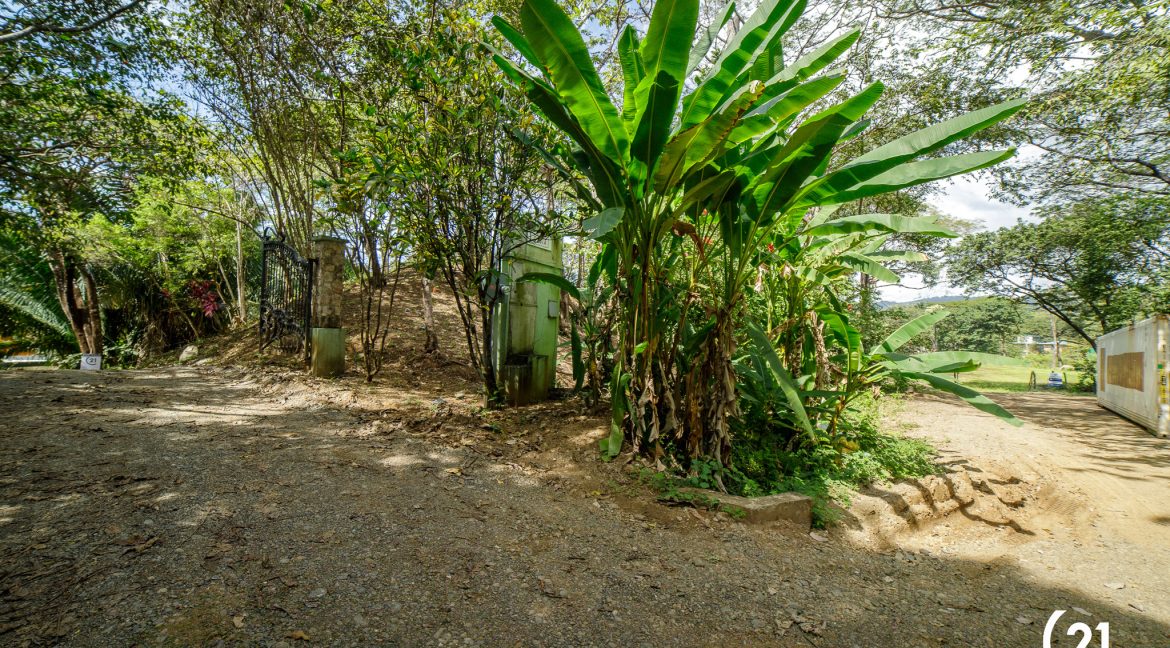 C21 Nosara Selvamar-01 - copia