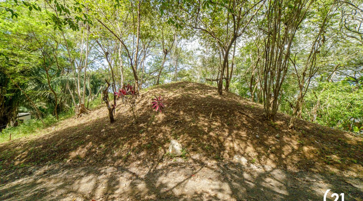 C21 Nosara Selvamar-02 - copia