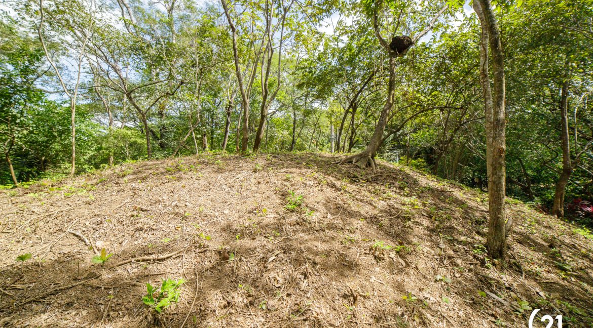 C21 Nosara Selvamar-06 - copia