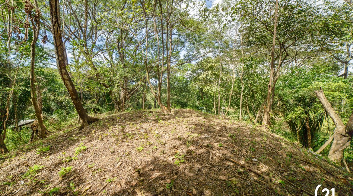 C21 Nosara Selvamar-08 - copia