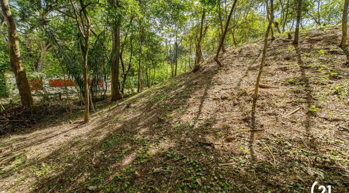 C21 Nosara Selvamar-09