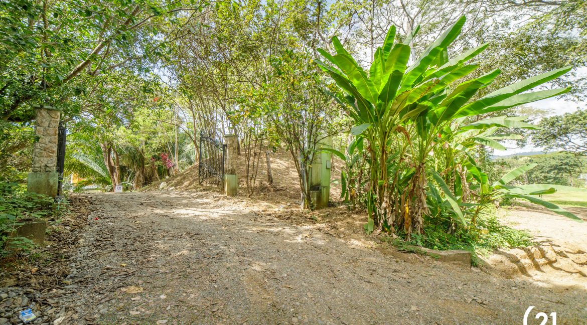 C21 Nosara Selvamar-12