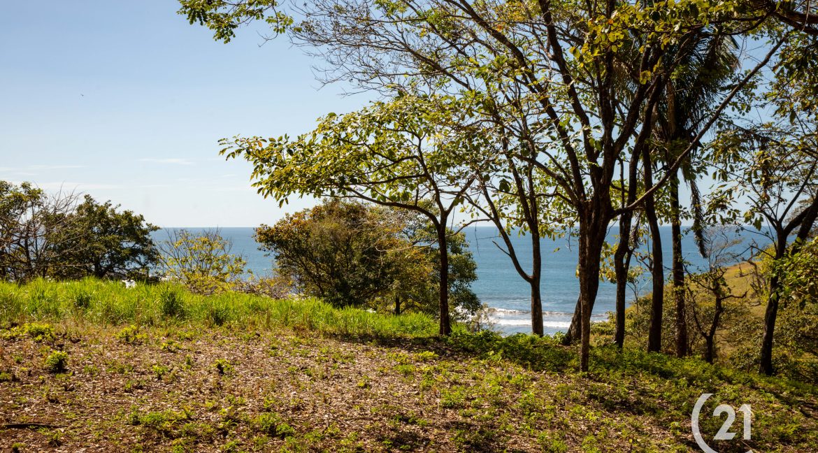 El Rayo Ocean View -Century 21-Nosara-La Costa Realty-Real Estate-Nosara-Playa Guiones-Guanacaste-Costa Rica-Allan Monestel-Real Estate Agent-Real Estate Office.-10