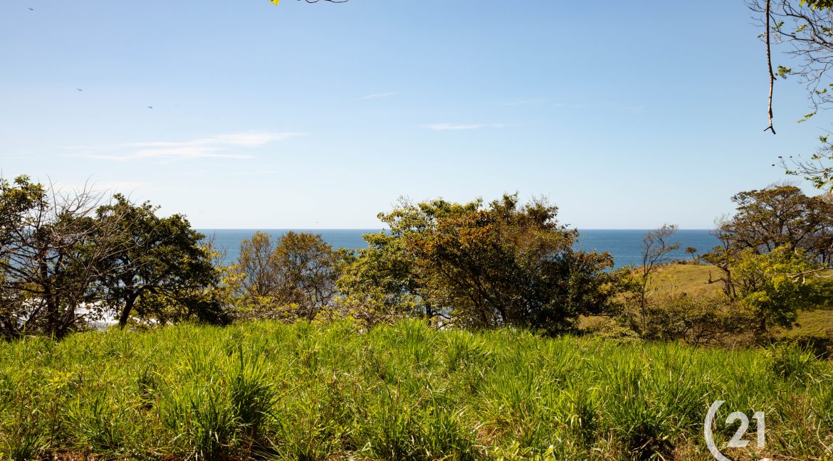 El Rayo Ocean View -Century 21-Nosara-La Costa Realty-Real Estate-Nosara-Playa Guiones-Guanacaste-Costa Rica-Allan Monestel-Real Estate Agent-Real Estate Office.-11