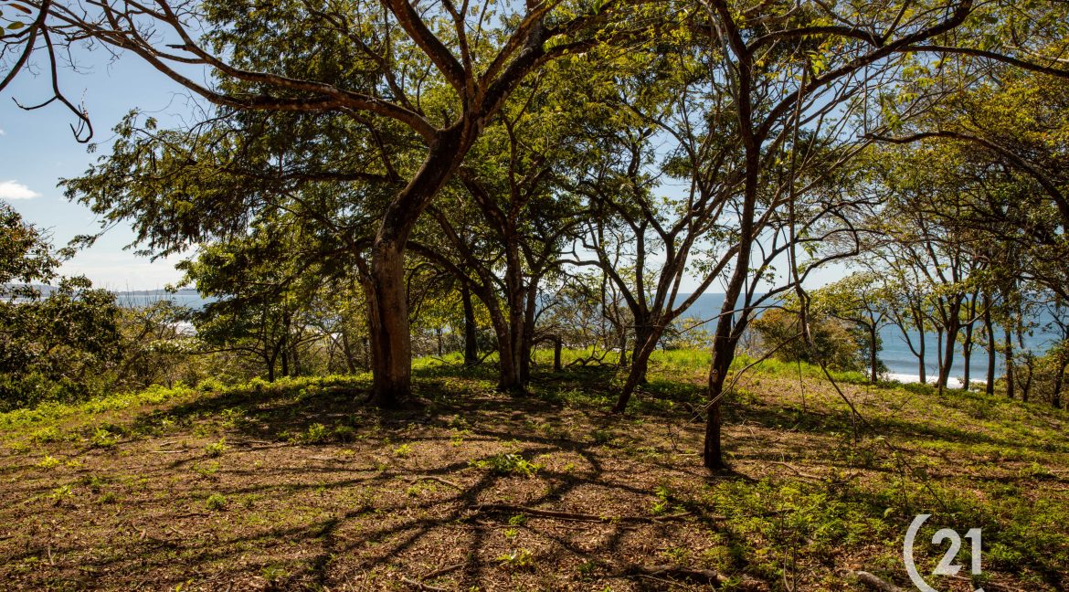 El Rayo Ocean View -Century 21-Nosara-La Costa Realty-Real Estate-Nosara-Playa Guiones-Guanacaste-Costa Rica-Allan Monestel-Real Estate Agent-Real Estate Office.-13