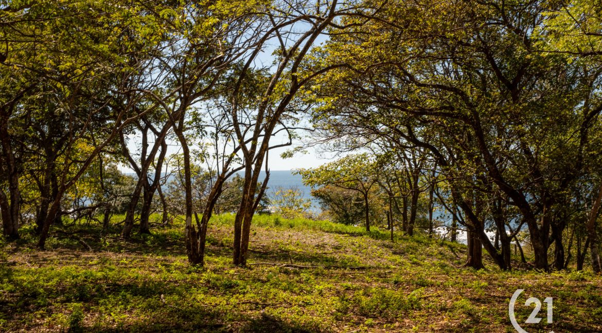 El Rayo Ocean View -Century 21-Nosara-La Costa Realty-Real Estate-Nosara-Playa Guiones-Guanacaste-Costa Rica-Allan Monestel-Real Estate Agent-Real Estate Office.-14