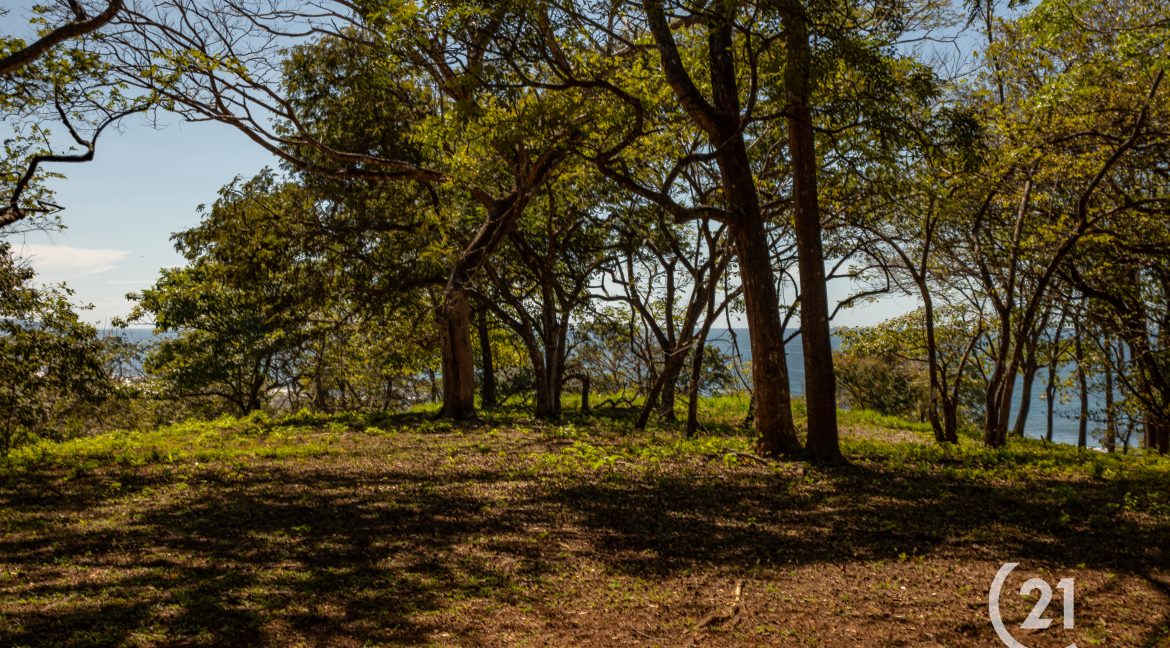 El Rayo Ocean View -Century 21-Nosara-La Costa Realty-Real Estate-Nosara-Playa Guiones-Guanacaste-Costa Rica-Allan Monestel-Real Estate Agent-Real Estate Office.-15