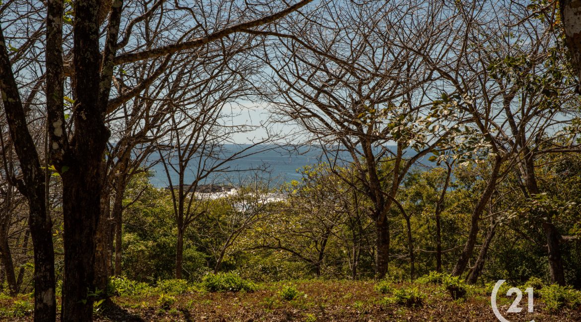 El Rayo Ocean View -Century 21-Nosara-La Costa Realty-Real Estate-Nosara-Playa Guiones-Guanacaste-Costa Rica-Allan Monestel-Real Estate Agent-Real Estate Office.-16