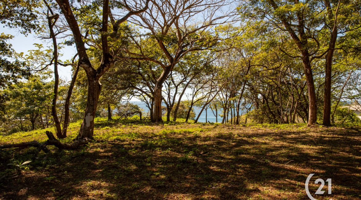 El Rayo Ocean View -Century 21-Nosara-La Costa Realty-Real Estate-Nosara-Playa Guiones-Guanacaste-Costa Rica-Allan Monestel-Real Estate Agent-Real Estate Office.-17