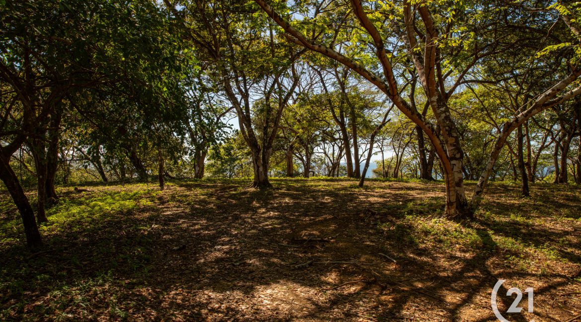 El Rayo Ocean View -Century 21-Nosara-La Costa Realty-Real Estate-Nosara-Playa Guiones-Guanacaste-Costa Rica-Allan Monestel-Real Estate Agent-Real Estate Office.-18