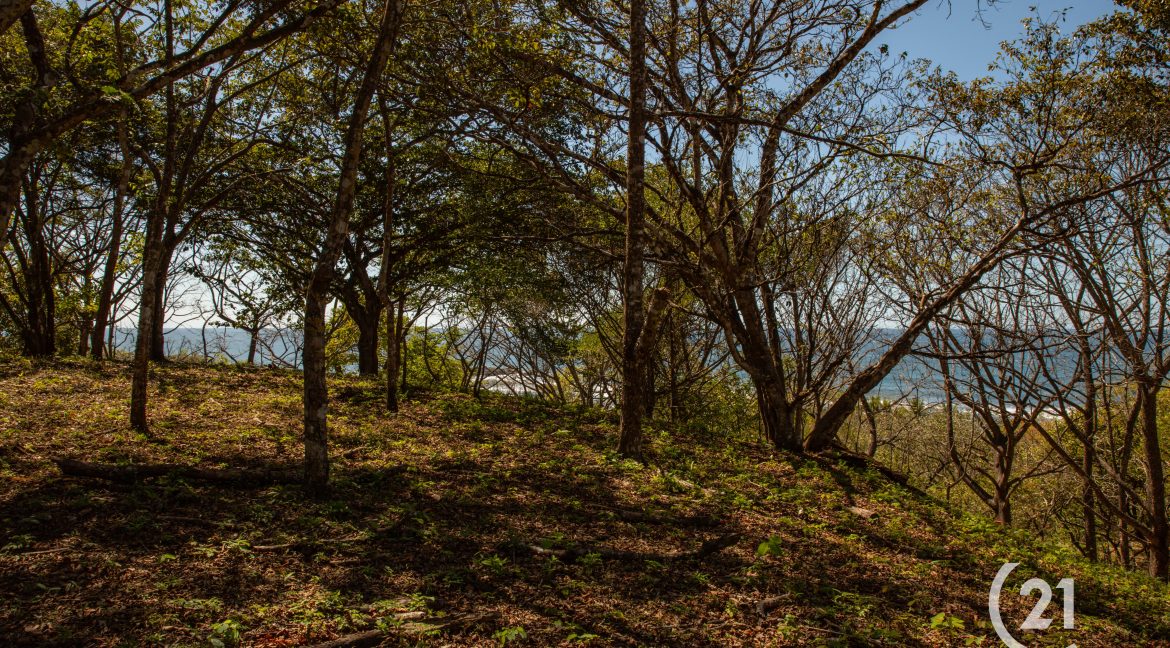 El Rayo Ocean View -Century 21-Nosara-La Costa Realty-Real Estate-Nosara-Playa Guiones-Guanacaste-Costa Rica-Allan Monestel-Real Estate Agent-Real Estate Office.-19