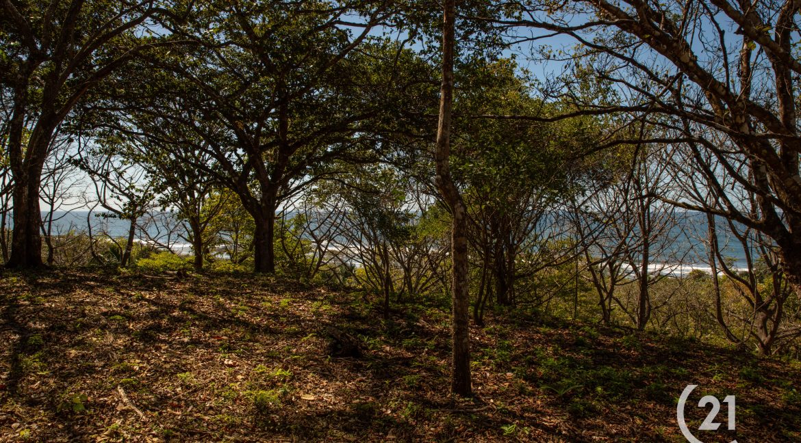 El Rayo Ocean View -Century 21-Nosara-La Costa Realty-Real Estate-Nosara-Playa Guiones-Guanacaste-Costa Rica-Allan Monestel-Real Estate Agent-Real Estate Office.-21