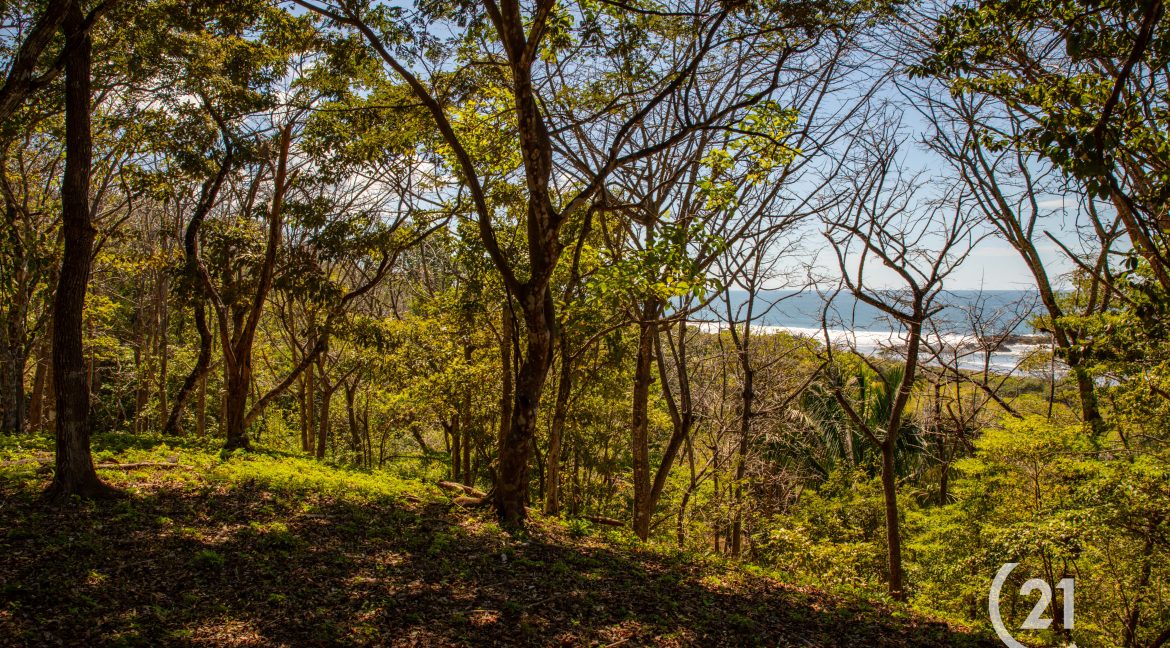 El Rayo Ocean View -Century 21-Nosara-La Costa Realty-Real Estate-Nosara-Playa Guiones-Guanacaste-Costa Rica-Allan Monestel-Real Estate Agent-Real Estate Office.-22