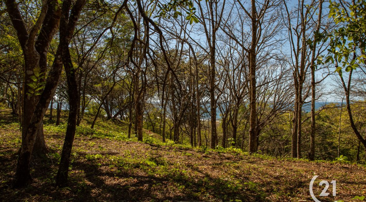 El Rayo Ocean View -Century 21-Nosara-La Costa Realty-Real Estate-Nosara-Playa Guiones-Guanacaste-Costa Rica-Allan Monestel-Real Estate Agent-Real Estate Office.-23