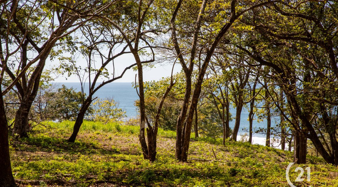 El Rayo Ocean View -Century 21-Nosara-La Costa Realty-Real Estate-Nosara-Playa Guiones-Guanacaste-Costa Rica-Allan Monestel-Real Estate Agent-Real Estate Office.-9