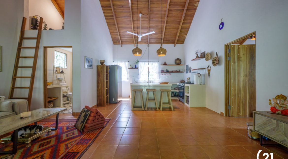 C21 Nosara Casa Mimosa-01