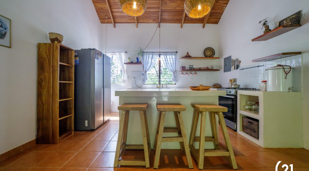 C21 Nosara Casa Mimosa-04