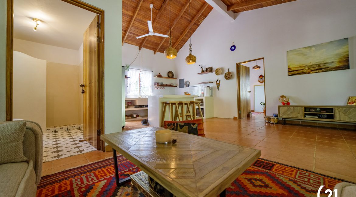 C21 Nosara Casa Mimosa-05