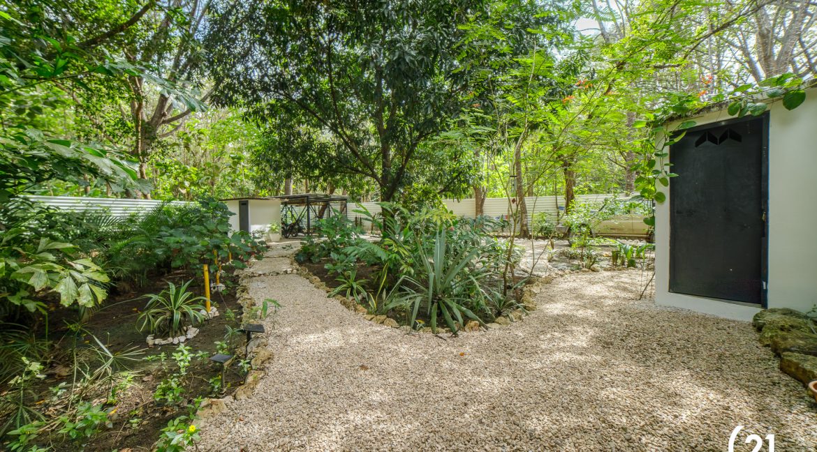 C21 Nosara Casa Mimosa-13