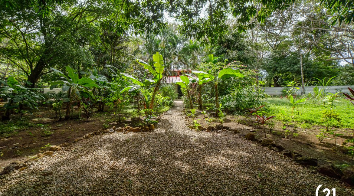 C21 Nosara Casa Mimosa-15