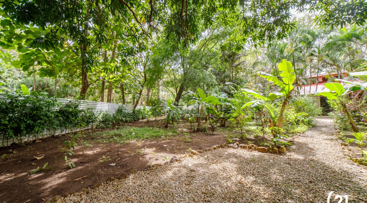 C21 Nosara Casa Mimosa-17